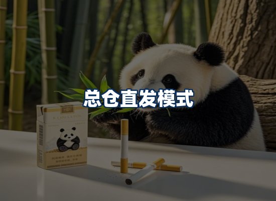 专业团队办公环境